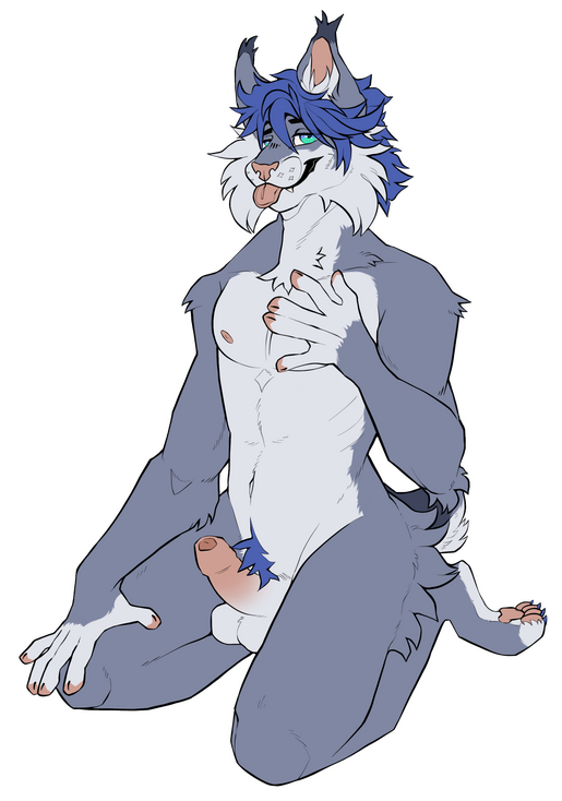 Maxwell Commission Maxwell Commission
