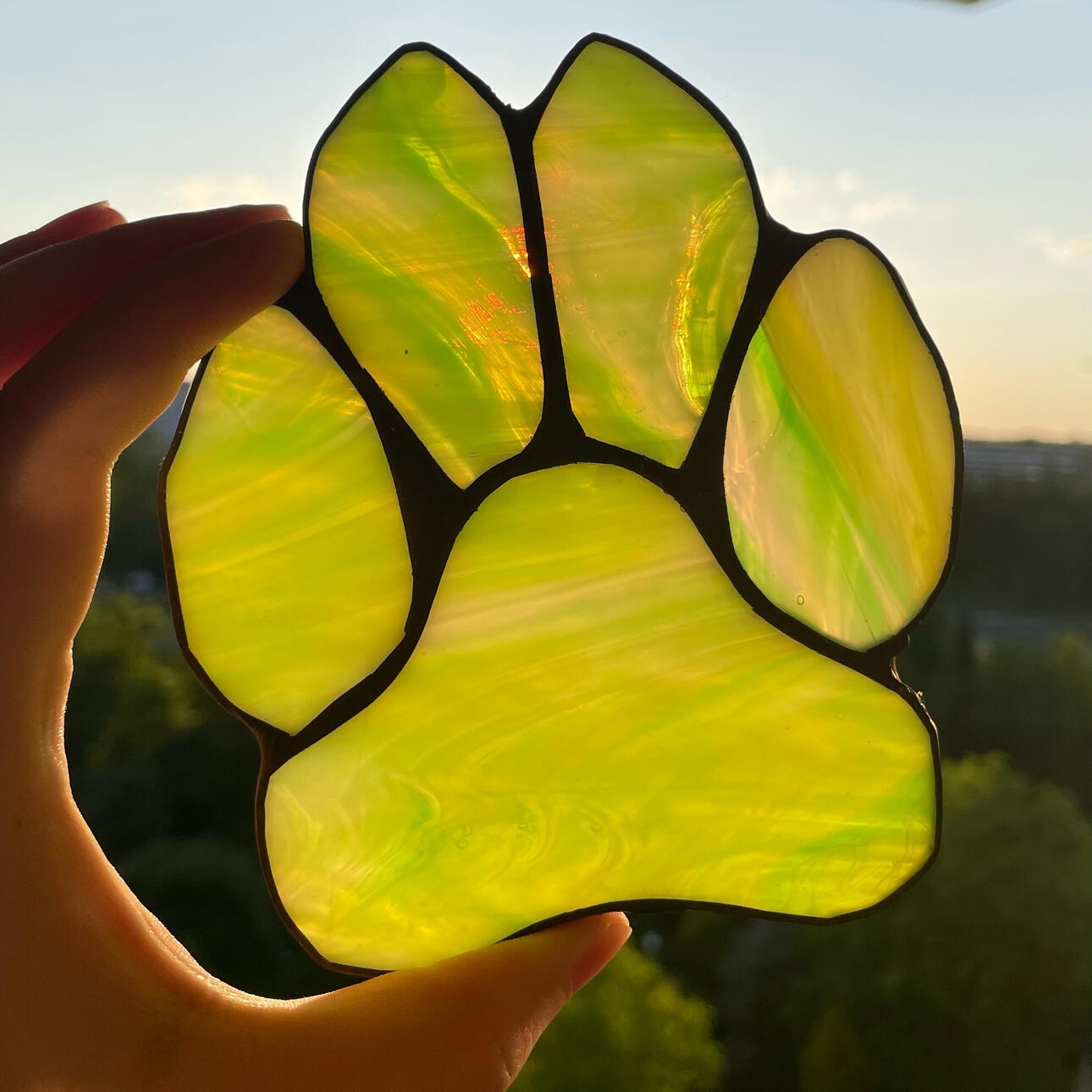 Paw | Personal Project
